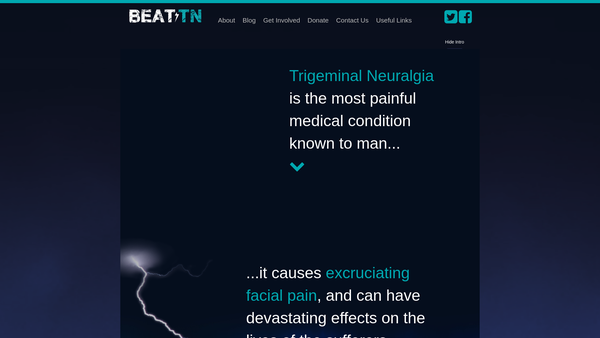 Screenshot of the Beat Trigeminal Neuralgia website