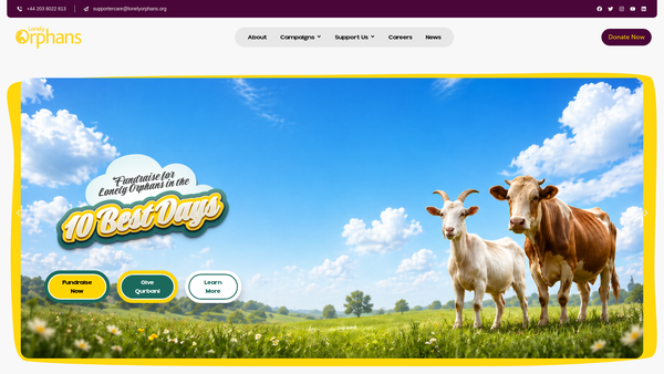 Screenshot of the Lonely Orphans website