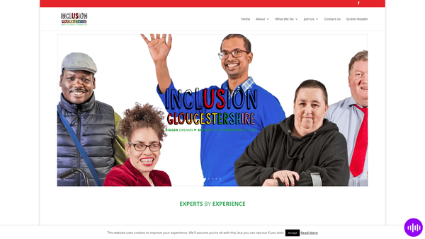 Screenshot of the Inclusion Gloucestershire website