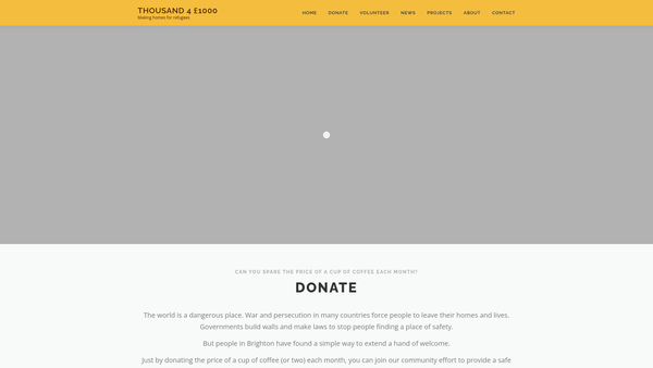 Screenshot of the Thousand 4 1000 CIO website