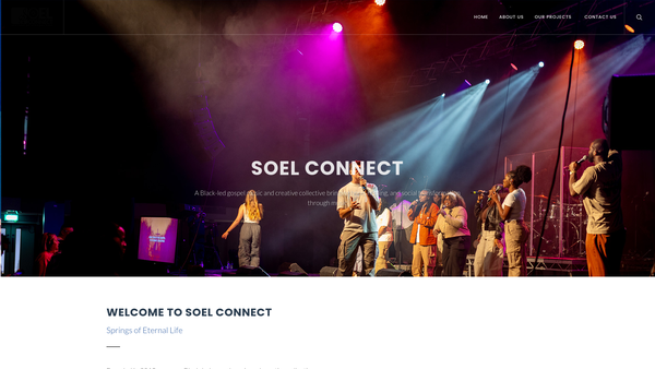 Screenshot of the Soel Connect website