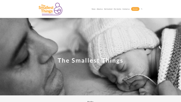 Screenshot of the The Smallest Things website