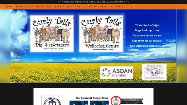 Screenshot of the Curly Tails website