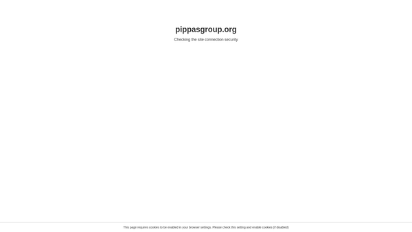 Screenshot of the Pippa's Group website