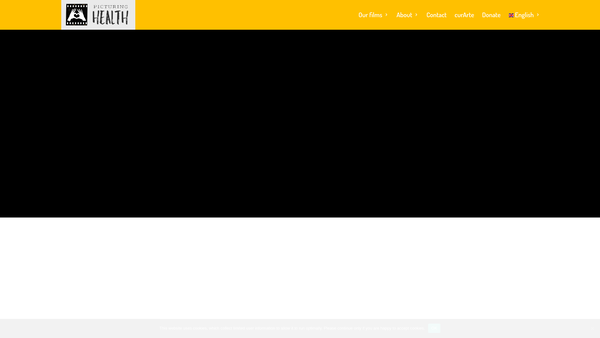 Screenshot of the Picturing Health website