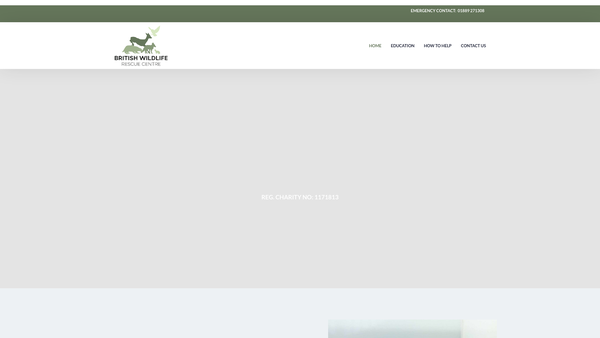 Screenshot of the British Wildlife Rescue Centre website