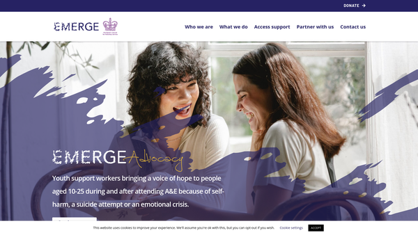 Screenshot of the Emerge Advocacy website