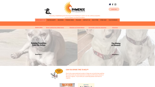 Screenshot of the Phoenix French Bulldog Rescue website