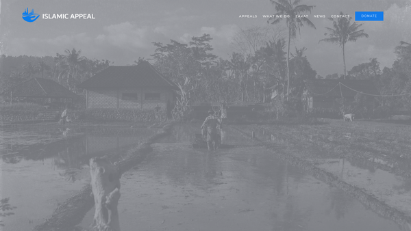 Screenshot of the Islamic Appeal website
