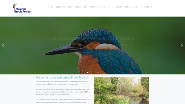 Screenshot of the The Letcombe Brook Project website