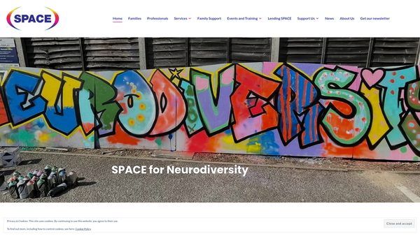 Screenshot of the Space website
