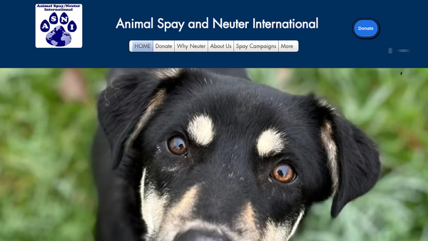 Screenshot of the Animal Spay And Neuter International website