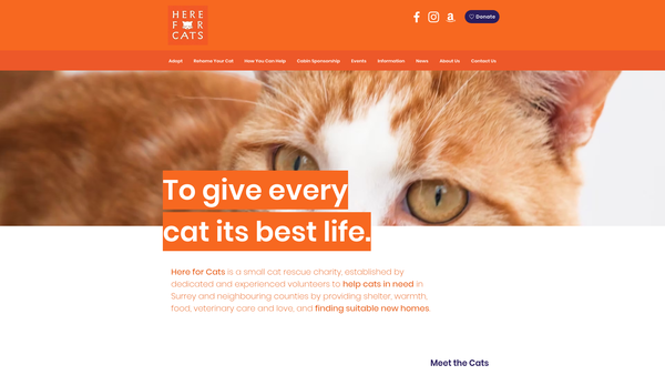 Screenshot of the Here For Cats website