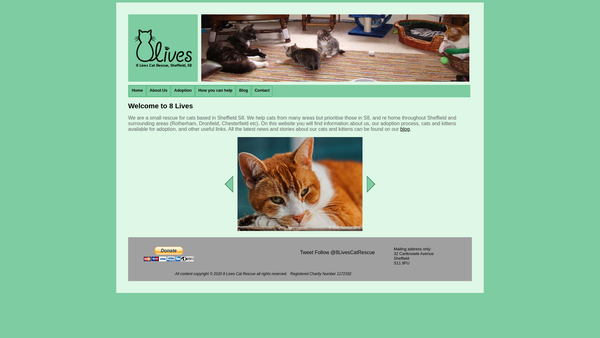 Screenshot of the 8 Lives Cat Rescue website