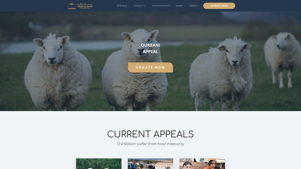 Screenshot of the Nour Al-Sham Foundation website