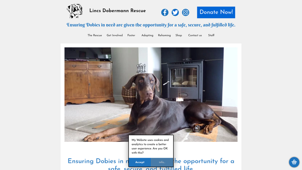 Screenshot of the Lincs Dobermann Rescue website