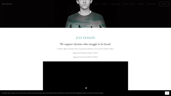 Screenshot of the The Brothers Trust website