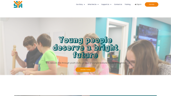 Screenshot of the All About Youth website