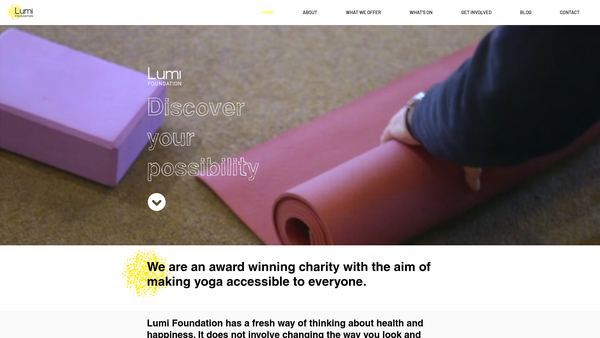 Screenshot of the Lumi Foundation website