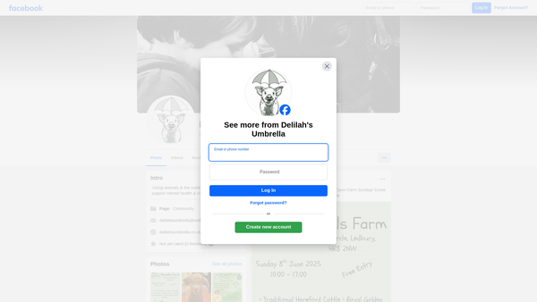Screenshot of the Delilah's Umbrella website
