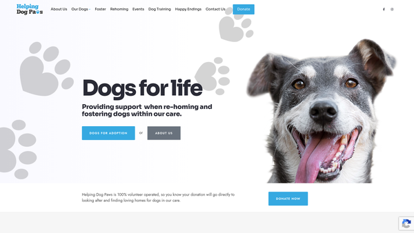 Screenshot of the Helping Dog Paws website