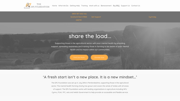 Screenshot of the The Dpj Foundation website