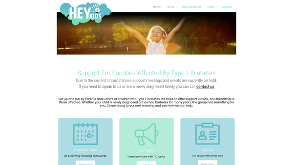 Screenshot of the Hey Kids Type 1 Diabetes Children And Family Support Group website