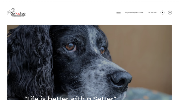 Screenshot of the Settusfree website
