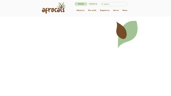 Screenshot of the Afrocats website