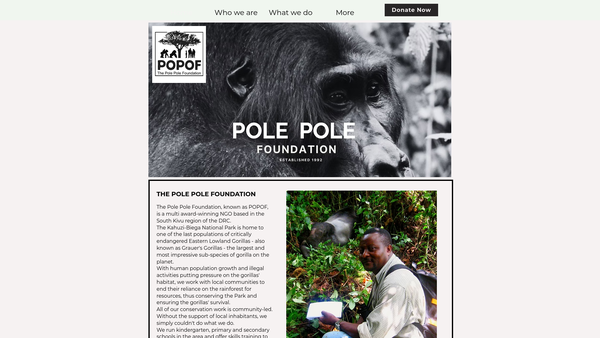 Screenshot of the The Pole Pole Foundation UK website