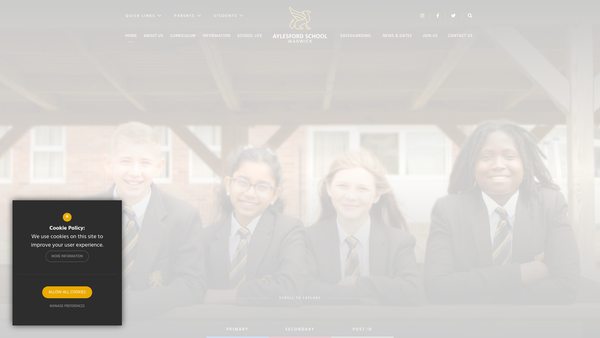 Screenshot of the Friends Of Aylesford Primary website