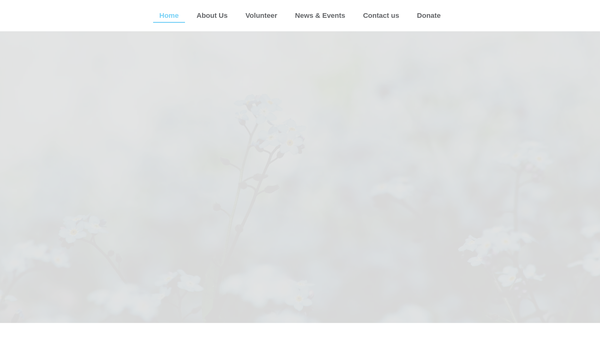 Screenshot of the The Forget Me Not's (Crawley) website