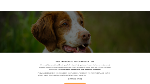 Screenshot of the Save Our Spaniels website