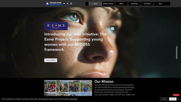 Screenshot of the Young Star Mentoring website