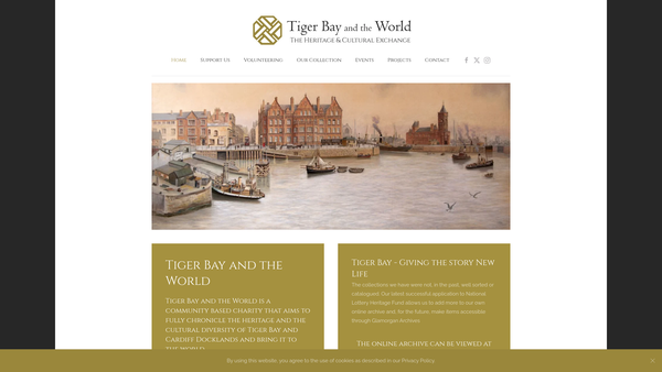 Screenshot of the Tiger Bay and the World website