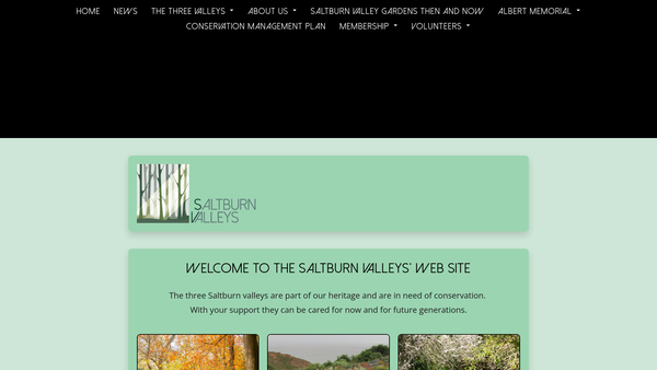 Screenshot of the Saltburn Valleys CIO website