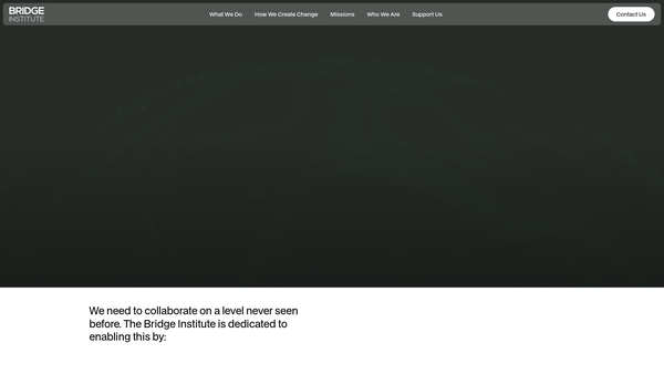 Screenshot of the Bridge Institute website