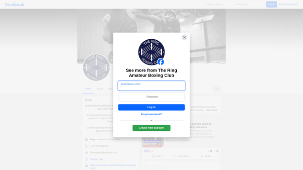 Screenshot of the The Ring Amateur Boxing Club Ltd website