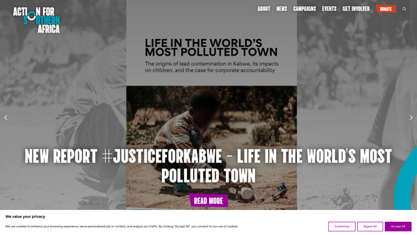 Screenshot of the Action For Southern Africa website