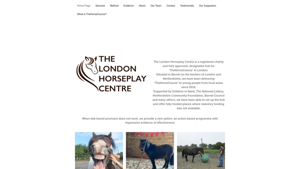 Screenshot of the The London Horseplay Centre website