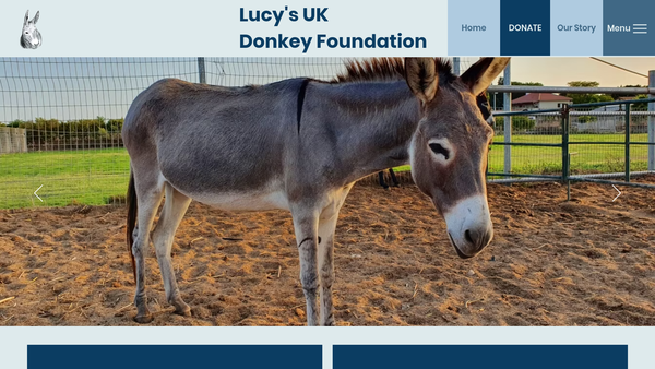 Screenshot of the Lucy’s UK Donkey Foundation website