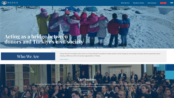 Screenshot of the Turkey Mozaik Foundation website