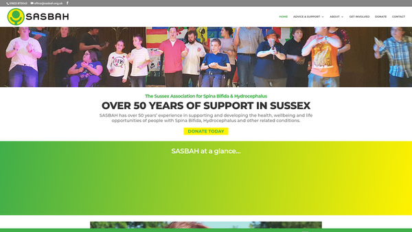 Screenshot of the The Sussex Association For Spina Bifida And Hydrocephalus website