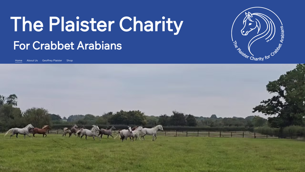 Screenshot of the The Plaister Charity website