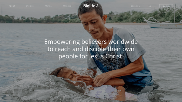Screenshot of the Biglife Europe website