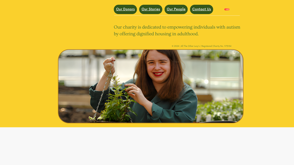 Screenshot of the All The Other Lucys website