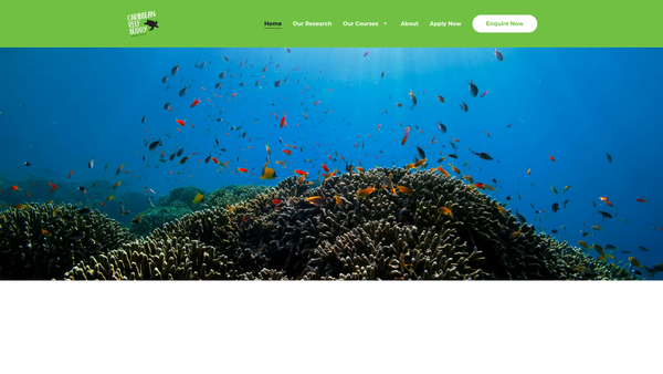 Screenshot of the Caribbean Reef Buddy website