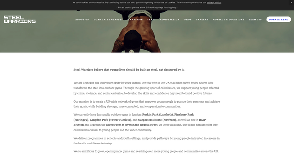 Screenshot of the Steel Warriors website