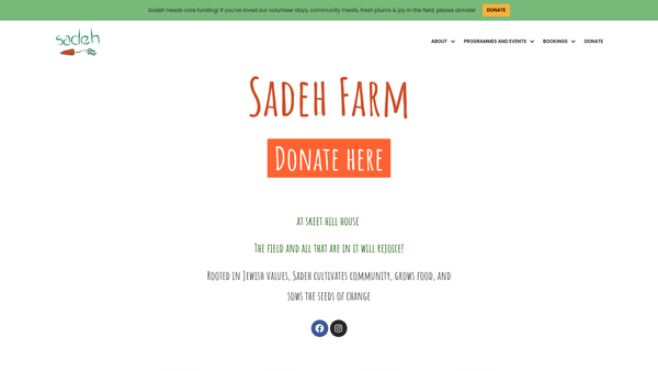 Screenshot of the Sadeh website