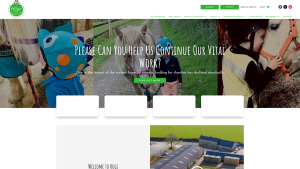 Screenshot of the The Hugs Foundation website